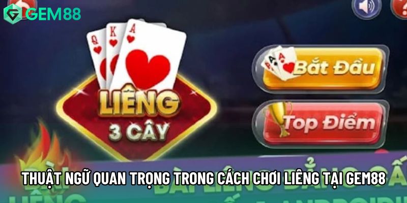 Thuật ngữ quan trọng trong cách chơi liêng tại Gem88 Thuật ngữ quan trọng trong cách chơi liêng tại Gem88